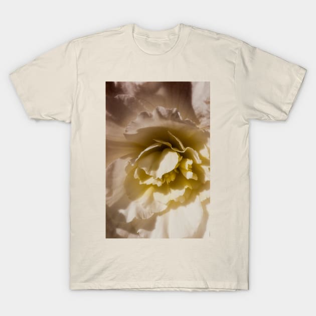 A lighter shade of pale......... T-Shirt by Violaman